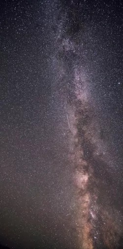 stars 